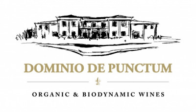 Dominio de Punctum